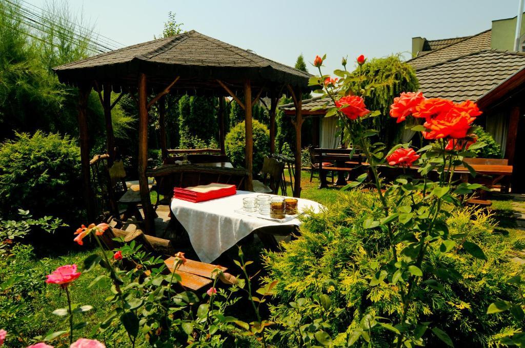 Pension La Cupola Târgu-Mureş Exterior foto